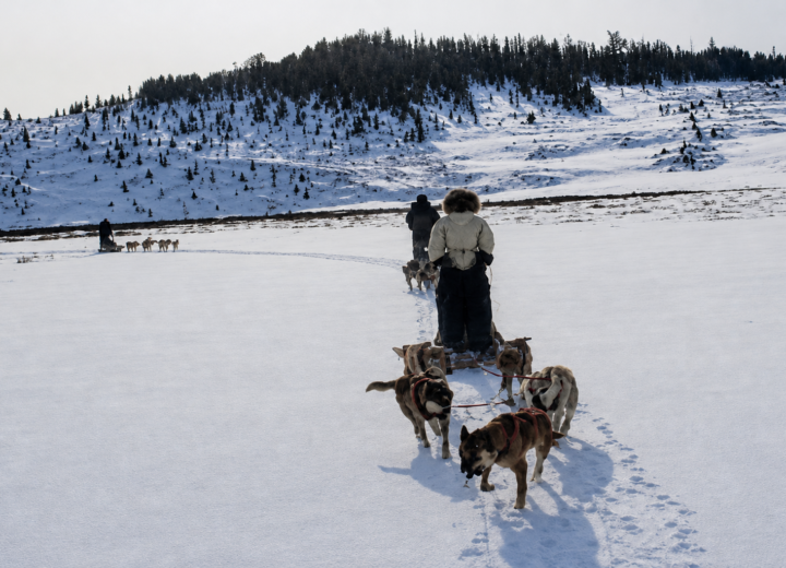Chien de traîneau dans le Khentii — étape 04 — Bosgiin Guur vers Khar Us