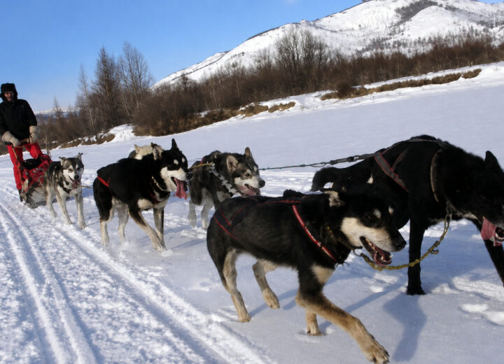Chien de traîneau au Khagiin Khuul Nuur — étape 05 — Vers Tsakhiir Chuluu