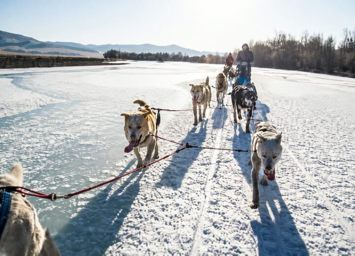 Chien de traîneau au Khagiin Khuul Nuur — étape 07 — Retour vers Khar Us
