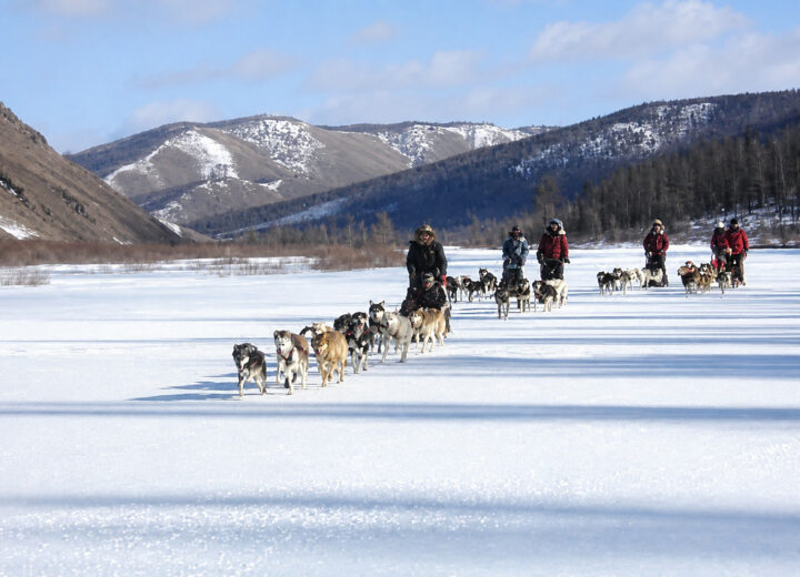 Chien de traîneau au Khagiin Khuul Nuur — étape 09 — Dernière étape vers Terelj