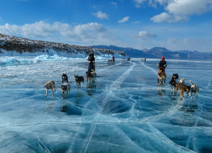 Chien de traîneau au Khövsgöl — étape 04 — Premiers kilomètres sur le lac