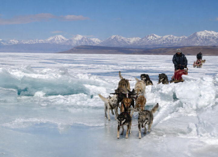 Chien de traîneau au Khövsgöl — étape 05 — Haluun Zaing vers Jigleeg