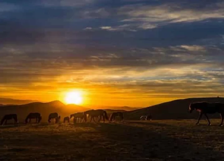 Terre d’Infini — étape 14 — Départ de Mongolie