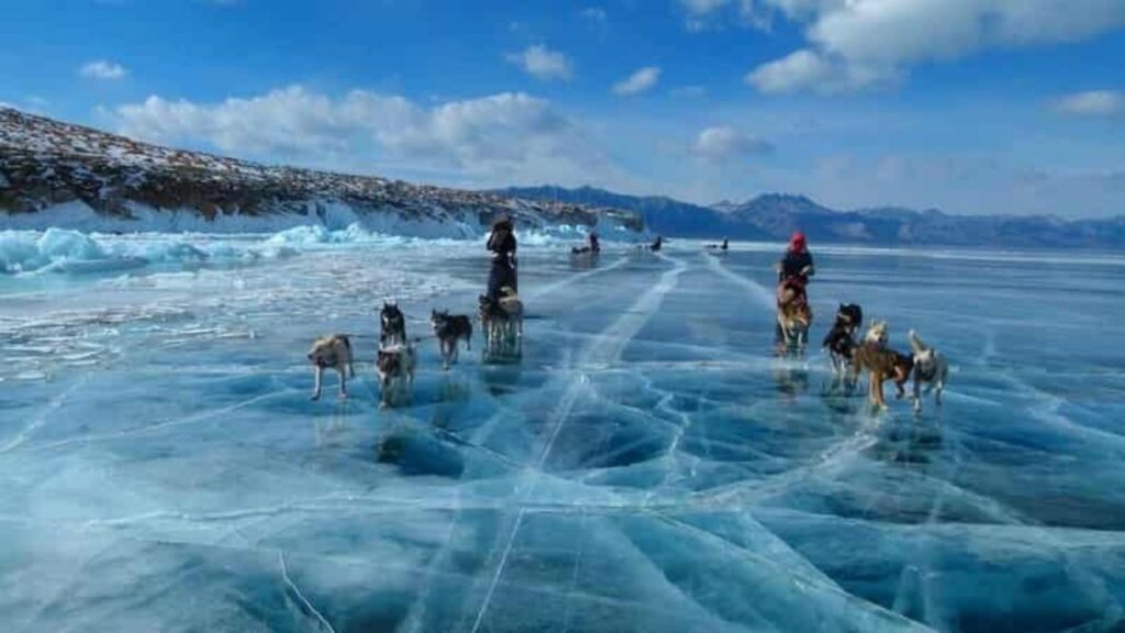 Chien de traîneau au Khövsgöl — étape 01 — Arrivée à Oulan-Bator