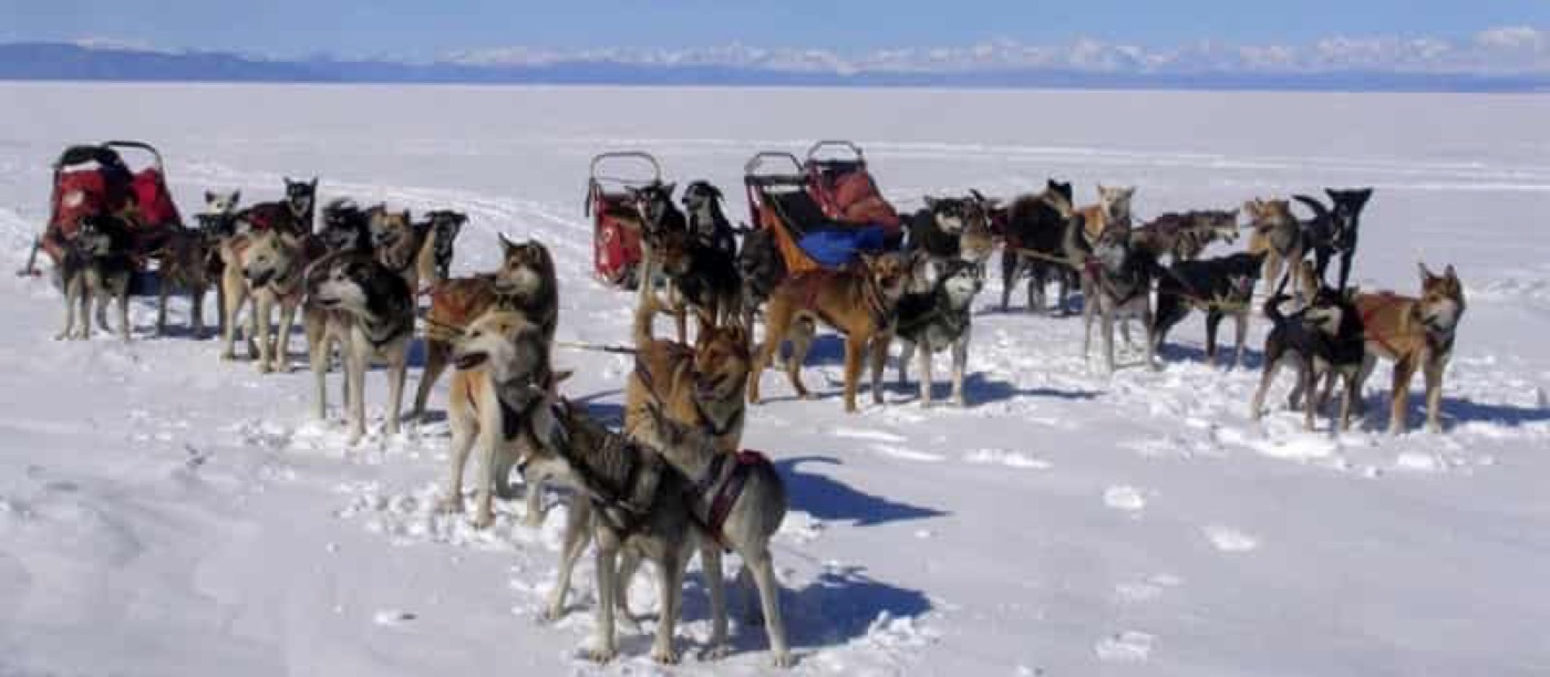 Chien de traîneau au Khövsgöl — étape 06 — Jigleeg vers Dolon Uul