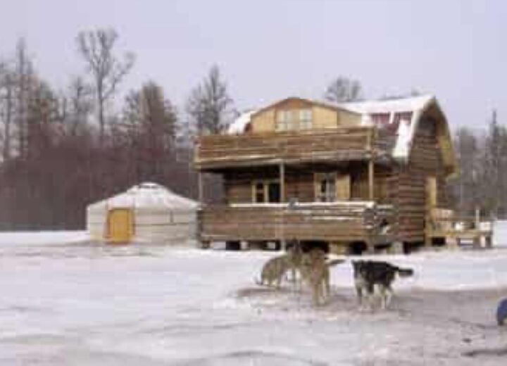 Chien de traîneau dans le Khentii — étape 06 — Retour à Bosgiin Guur