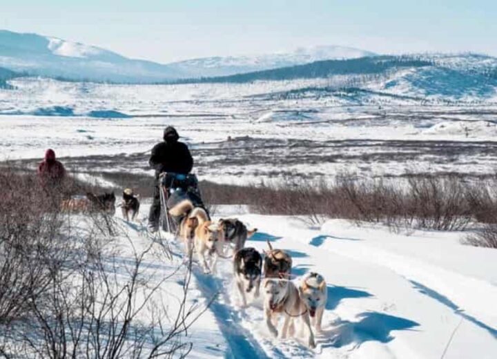 Chien de traîneau au Khagiin Khuul Nuur — étape 10 — Retour à Oulan-Bator