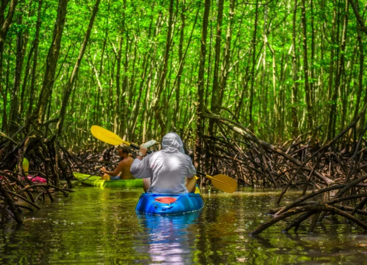 La Thaïlande autrement — étape 09 — Mangroves et train de nuit