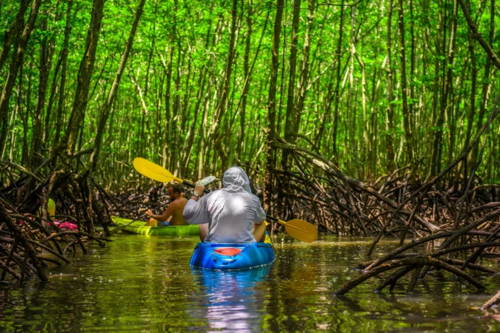 Bangkok and Surroundings — Stop 08 — Into the Mangroves