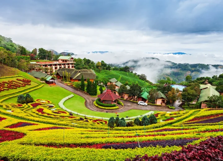 Sport and Traditions in Northern Thailand — Stage 05 — Mae Salong Tea Plantations
