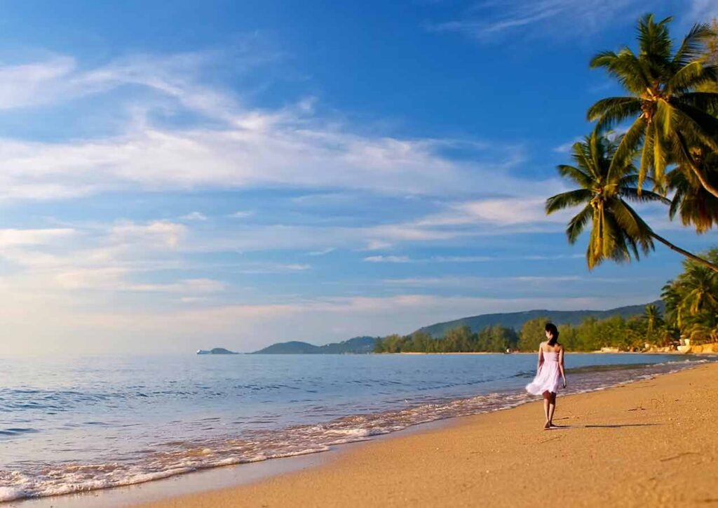 Sandy beach lined with coconut trees in Koh Samui.
