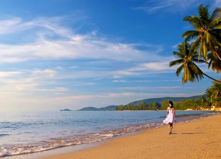 Sandy beach lined with coconut trees in Koh Samui.